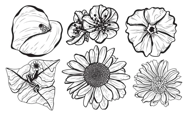Dekorativa Blommor Satt Designelement Kan Användas För Kort Inbjudningar Banderoller — Stock vektor
