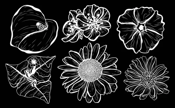 Dekoratif çiçekler ayarla, tasarım öğeleri. Tasarımını yazdırma, kartları, davetiyeleri, afişler, posterler için kullanılabilir. Çiçek arka planda satır sanat tarzı