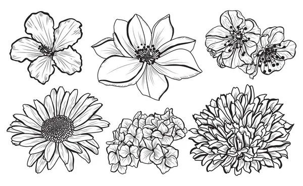 Dekorativa Blommor Satt Designelement Kan Användas För Kort Inbjudningar Banderoller — Stock vektor