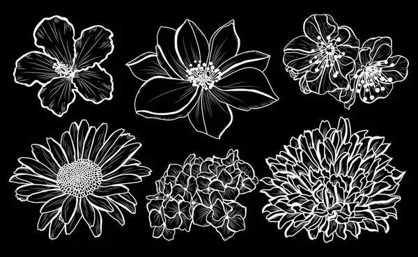Декоративний Набір Квітів Елементи Дизайну Може Використовуватися Карт Запрошень Банерів — стоковий вектор