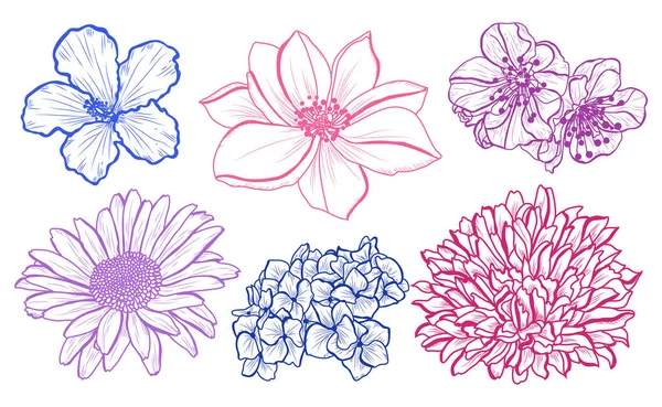 Decoratieve Bloemen Instellen Ontwerpelementen Kan Worden Gebruikt Voor Kaarten Uitnodigingen — Stockvector