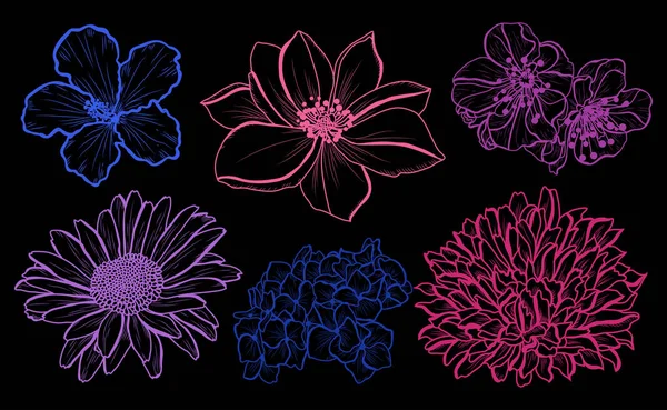 Dekoracyjne Kwiaty Zestaw Elementy Projektu Mogą Być Używane Dla Karty — Wektor stockowy