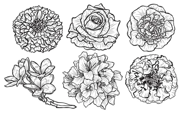 Dekoratif çiçekler ayarla, tasarım öğeleri. Tasarımını yazdırma, kartları, davetiyeleri, afişler, posterler için kullanılabilir. Çiçek arka planda satır sanat tarzı