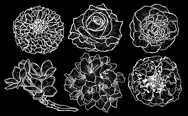 Dekorativa Blommor Satt Designelement Kan Användas För Kort Inbjudningar Banderoller — Stock vektor