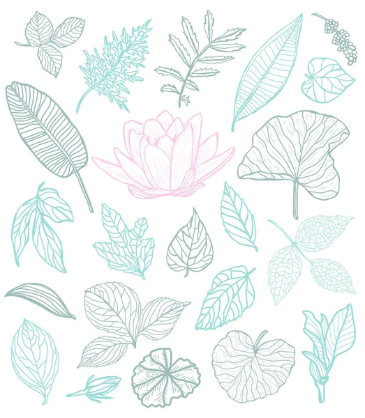 装饰花叶集 设计元素 可用于卡片 平面设计 线条艺术风格的花卉背景 — 图库矢量图片