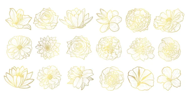 Conjunto Flores Decorativas Elementos Design Pode Ser Usado Para Cartões —  Vetores de Stock