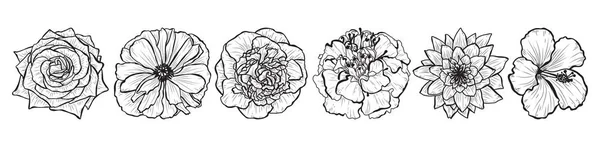 Декоративний Набір Квітів Елементи Дизайну Може Використовуватися Карт Запрошень Банерів — стоковий вектор