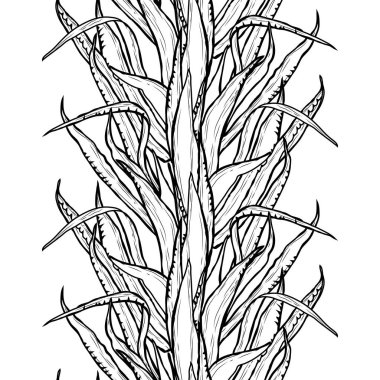 Agav bitkiler, tasarım öğeleri ile zarif seamless modeli. Davetiyeler, kartları, baskı, hediye paketi, imalat, tekstil, kumaş, çiçek desenli duvar kağıtları. Succulents