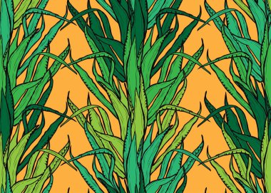 Agav bitkiler, tasarım öğeleri ile zarif seamless modeli. Davetiyeler, kartları, baskı, hediye paketi, imalat, tekstil, kumaş, çiçek desenli duvar kağıtları. Succulents