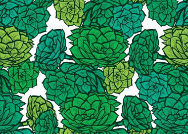 Zarif seamless modeli echeveria bitkiler, tasarım öğeleri ile. Davetiyeler, kartları, baskı, hediye paketi, imalat, tekstil, kumaş, çiçek desenli duvar kağıtları. Succulents