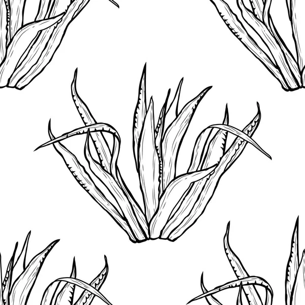 リュウゼツランの植物 デザイン要素とエレガントなシームレス パターン 招待状 カード ギフト用包装紙 花柄の壁紙します 多肉植物 — ストックベクタ