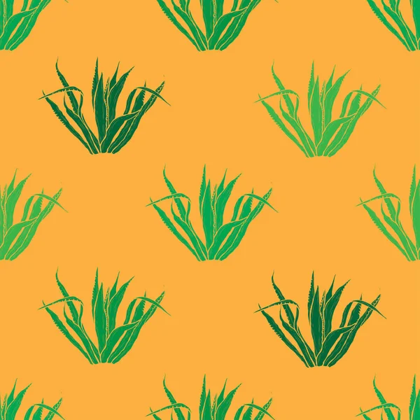 Elegante Patrón Sin Costuras Con Plantas Agave Elementos Diseño Patrón — Vector de stock