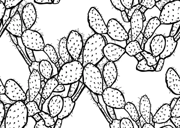 Elegante Naadloze Patroon Met Cactus Planten Ontwerpelementen Bloemmotief Voor Uitnodigingen — Stockvector