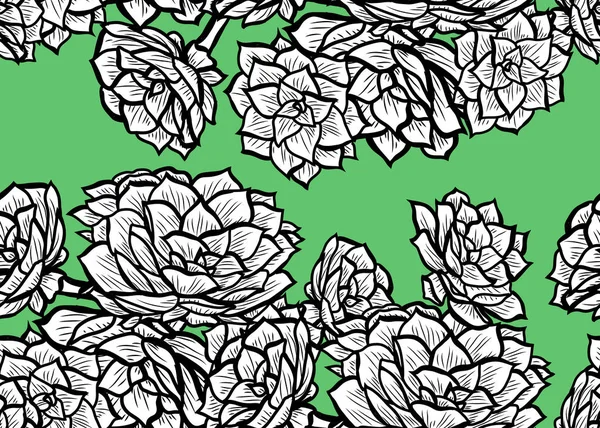 Elegante Nahtlose Muster Mit Echeveria Pflanzen Design Elemente Blumenmuster Für — Stockvektor