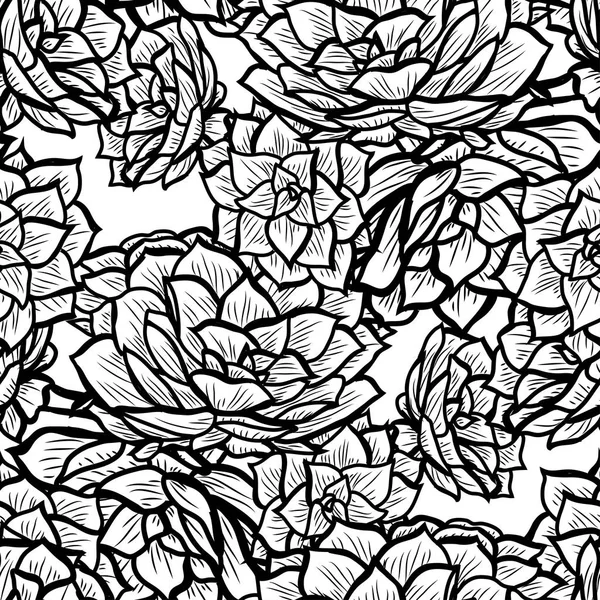 Κομψό Χωρίς Ραφή Πρότυπο Echeveria Φυτά Σχεδιαστικά Στοιχεία Floral Μοτίβο — Διανυσματικό Αρχείο