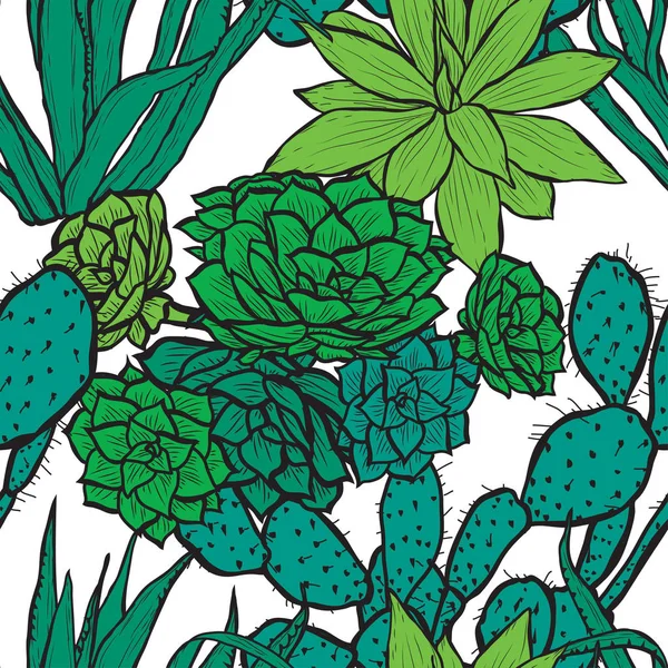 Élégant Motif Sans Couture Avec Des Plantes Succulentes Des Éléments — Image vectorielle