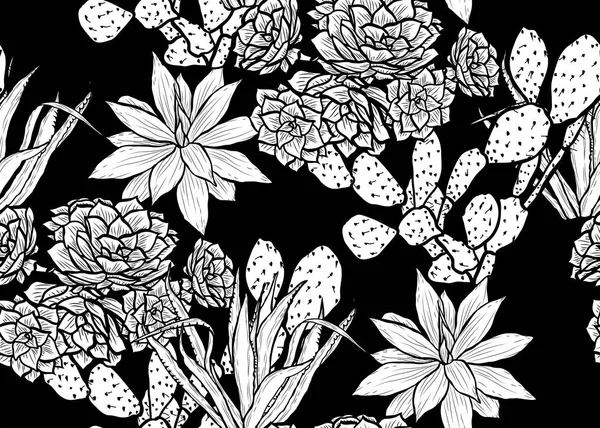精致的无缝图案与肉质植物 设计元素 采购产品花纹的邀请 印刷品 礼物包装 纺织品 Succulents — 图库矢量图片