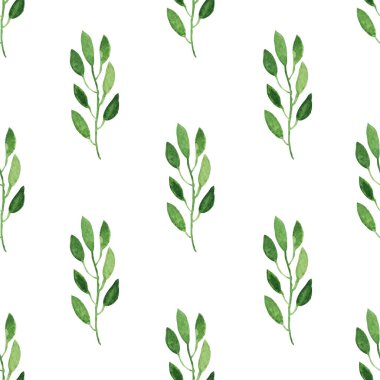 Yapraklı suluboya dalları ve tasarım elementleri olan zarif, pürüzsüz bir desen. Davetiyeler için çiçek deseni, tebrik kartları, hatıra defteri, baskı, hediye paketi, imalat