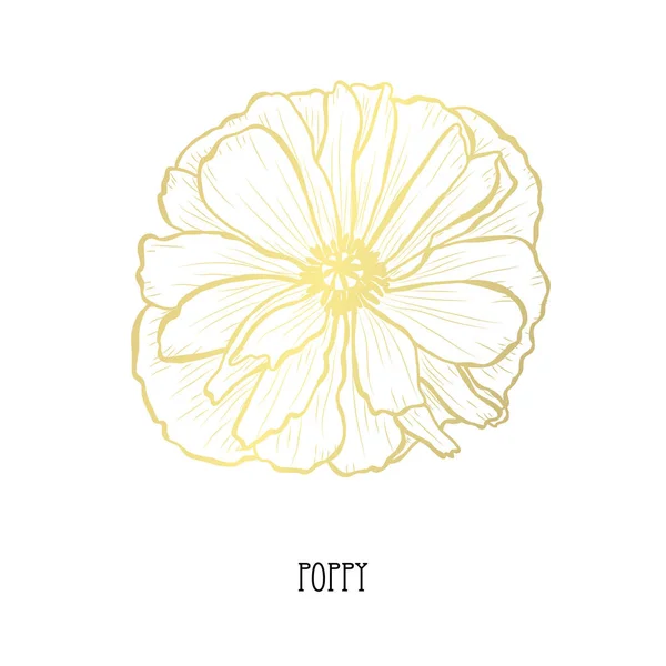 Fleur Pavot Décorative Élément Design Peut Être Utilisé Pour Les — Image vectorielle