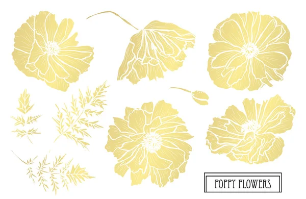 Decoratieve Poppy Bloemen Designelementen Kan Worden Gebruikt Voor Kaarten Uitnodigingen — Stockvector