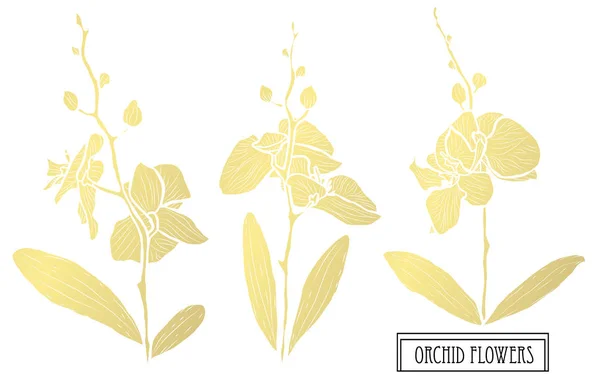 装饰兰花花 设计元素 可用于卡片 打印设计 金色花朵 — 图库矢量图片