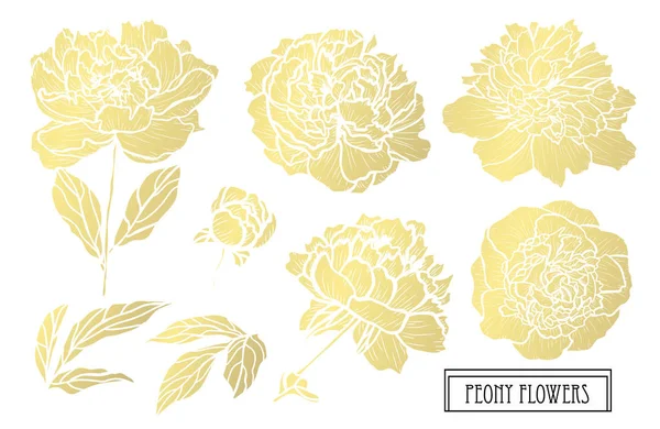 装饰牡丹花 设计元素 可用于卡片 打印设计 金色花朵 — 图库矢量图片