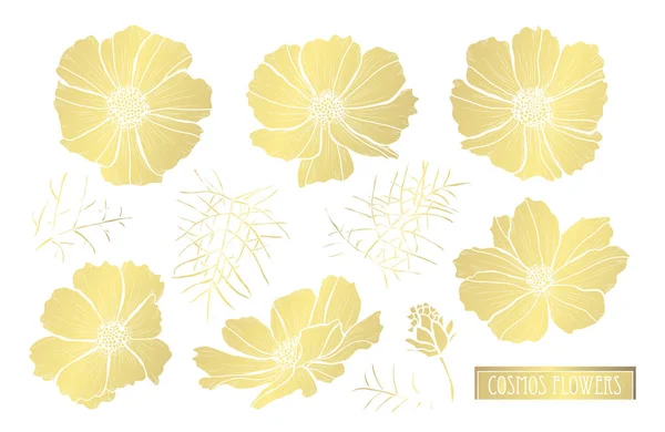 装飾的なコスモスの花 デザイン要素 カード 招待状 バナー ポスターに使用することができます デザインを印刷します 黄金の花 — ストックベクタ
