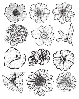 Dekoratif çiçekler ayarla, tasarım öğeleri. Tasarımını yazdırma, kartları, davetiyeleri, afişler, posterler için kullanılabilir. Çiçek arka planda satır sanat tarzı