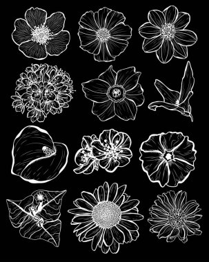 Dekoratif çiçekler ayarla, tasarım öğeleri. Tasarımını yazdırma, kartları, davetiyeleri, afişler, posterler için kullanılabilir. Çiçek arka planda satır sanat tarzı
