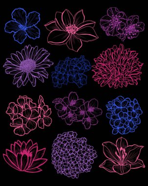 Dekoratif çiçekler ayarla, tasarım öğeleri. Tasarımını yazdırma, kartları, davetiyeleri, afişler, posterler için kullanılabilir. Çiçek arka planda satır sanat tarzı