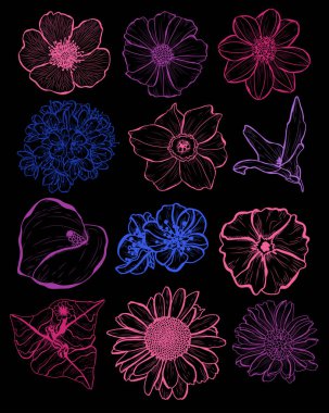 Dekoratif çiçekler ayarla, tasarım öğeleri. Tasarımını yazdırma, kartları, davetiyeleri, afişler, posterler için kullanılabilir. Çiçek arka planda satır sanat tarzı