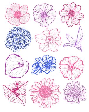 Dekoratif çiçekler ayarla, tasarım öğeleri. Tasarımını yazdırma, kartları, davetiyeleri, afişler, posterler için kullanılabilir. Çiçek arka planda satır sanat tarzı