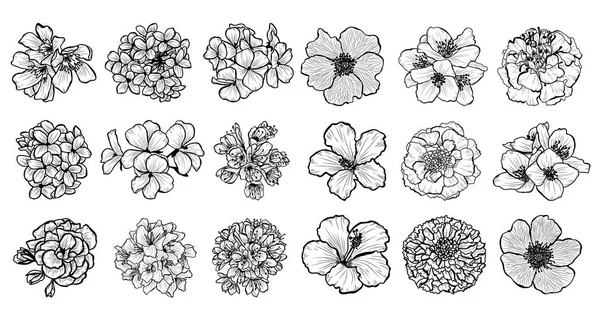 Dekoracyjne Kwiaty Zestaw Elementy Projektu Mogą Być Używane Dla Karty — Wektor stockowy