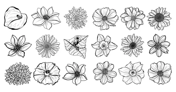 Conjunto Flores Decorativas Elementos Design Pode Ser Usado Para Cartões — Vetor de Stock