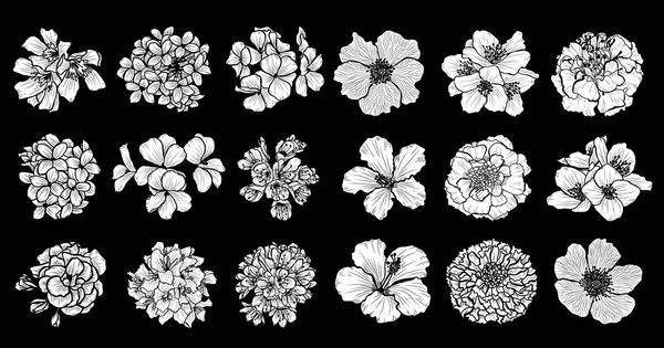 Dekoratif çiçekler ayarla, tasarım öğeleri. Tasarımını yazdırma, kartları, davetiyeleri, afişler, posterler için kullanılabilir. Çiçek arka planda satır sanat tarzı