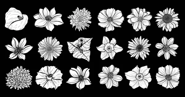 Dekoratív Virág Design Elemeket Használható Kártyák Meghívókat Bannerek Poszterek Nyomtassa — Stock Vector
