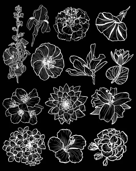 Dekoratif Çiçekler Ayarla Tasarım Öğeleri Tasarımını Yazdırma Kartları Davetiyeleri Afişler — Stok Vektör