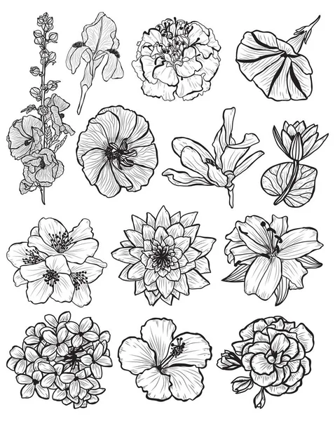 装饰花集 设计元素 可用于贺卡 平面设计 线条艺术风格的花卉背景 — 图库矢量图片