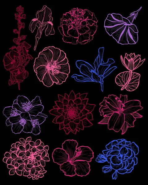 装饰花集 设计元素 可用于贺卡 平面设计 线条艺术风格的花卉背景 — 图库矢量图片