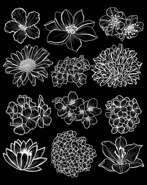 Dekoratif çiçekler ayarla, tasarım öğeleri. Tasarımını yazdırma, kartları, davetiyeleri, afişler, posterler için kullanılabilir. Çiçek arka planda satır sanat tarzı