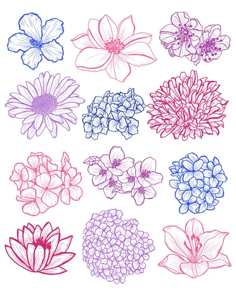 Conjunto Flores Decorativas Elementos Diseño Puede Utilizar Para Tarjetas Invitaciones — Vector de stock