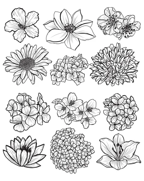 Conjunto Flores Decorativas Elementos Diseño Puede Utilizar Para Tarjetas Invitaciones — Vector de stock