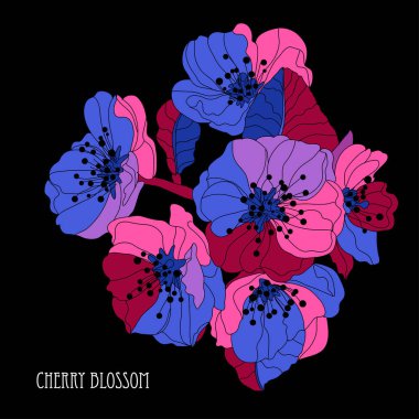 Dekoratif kiraz çiçeği