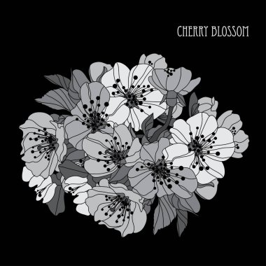 Dekoratif kiraz çiçeği