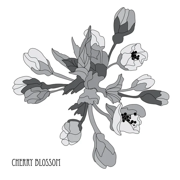 Flor de cerezo decorativa — Vector de stock