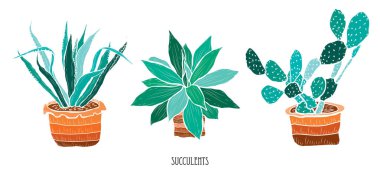 Elle çizilmiş succulents