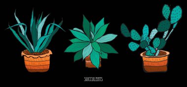 Elle çizilmiş succulents