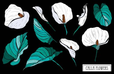 Elle çizilmiş çiçek süslemeleri