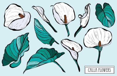 Elle çizilmiş çiçek süslemeleri