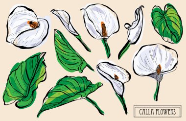 Elle çizilmiş çiçek süslemeleri